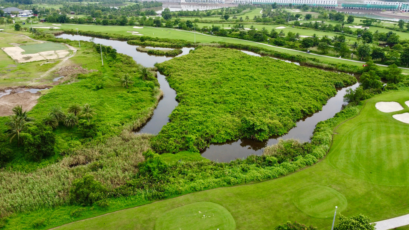 Sân Đầm Lầy (Marsh) nổi tiếng với địa hình đầm lầy tự nhiên đầy thách thức.