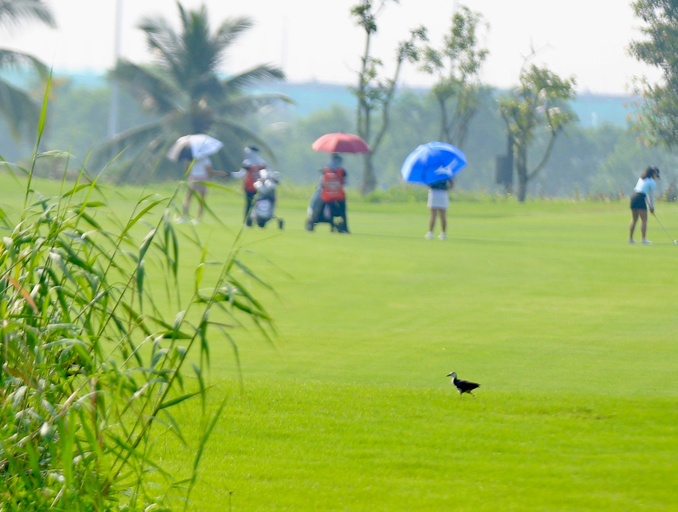 Đức Sơn độc chiếm bảng nam, Gia Hân và Chúc An cùng dẫn đầu bảng nữ ảnh 39