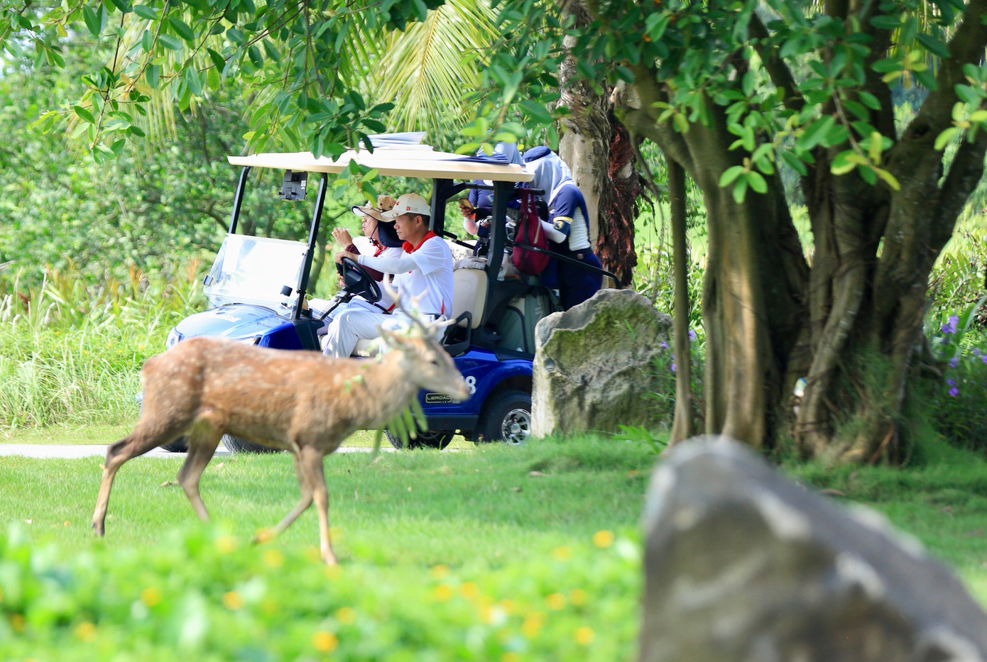Golfer Nguyễn Quốc Hùng vô địch Giải Pro - Am lần thứ ba - năm 2024 ảnh 45