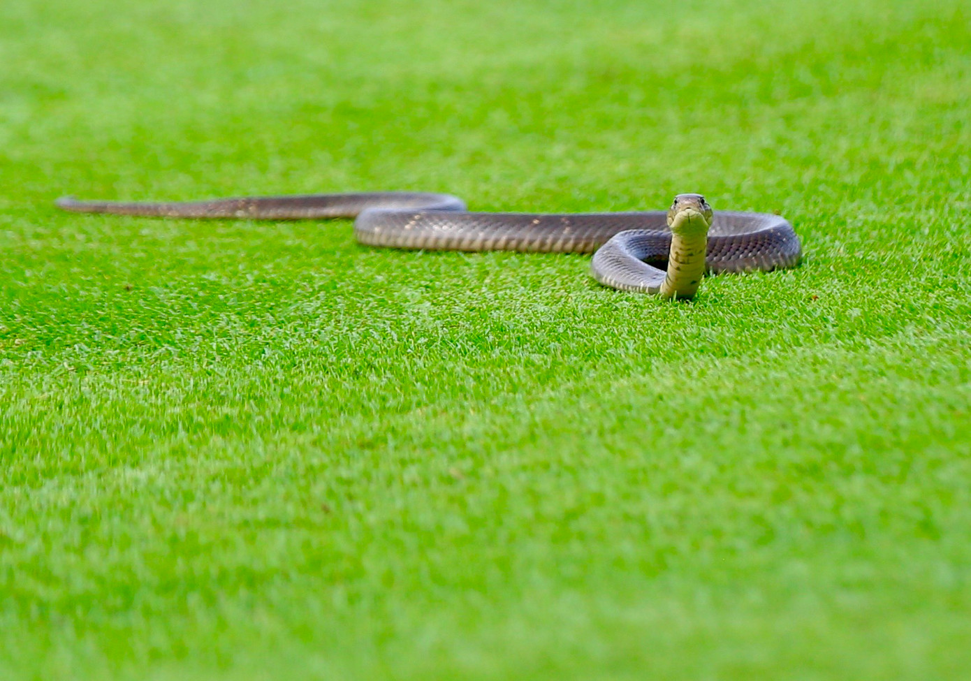 Đức Sơn độc chiếm bảng nam, Gia Hân và Chúc An cùng dẫn đầu bảng nữ ảnh 45