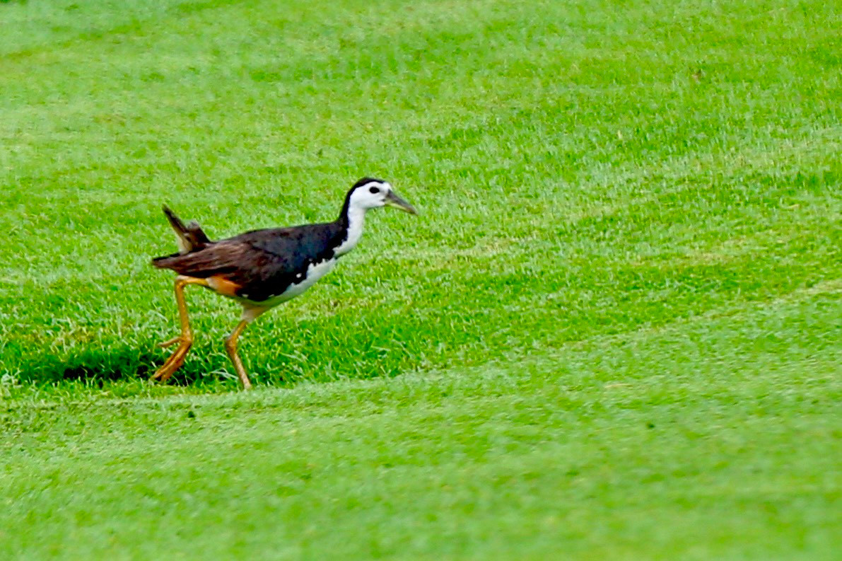 Đức Sơn độc chiếm bảng nam, Gia Hân và Chúc An cùng dẫn đầu bảng nữ ảnh 46