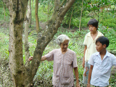 Bà Lê Thị Năm ở ấp 2, xã Tam An bên gốc cây dâu trên chục năm tuổi đã bị chết rụi vì nước ô nhiễm