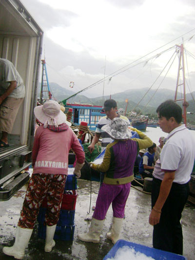 Thương lái Trung Quốc đang thu gom thủy sản ở cảng Hòn Rớ (TP Nha Trang - Khánh Hòa)