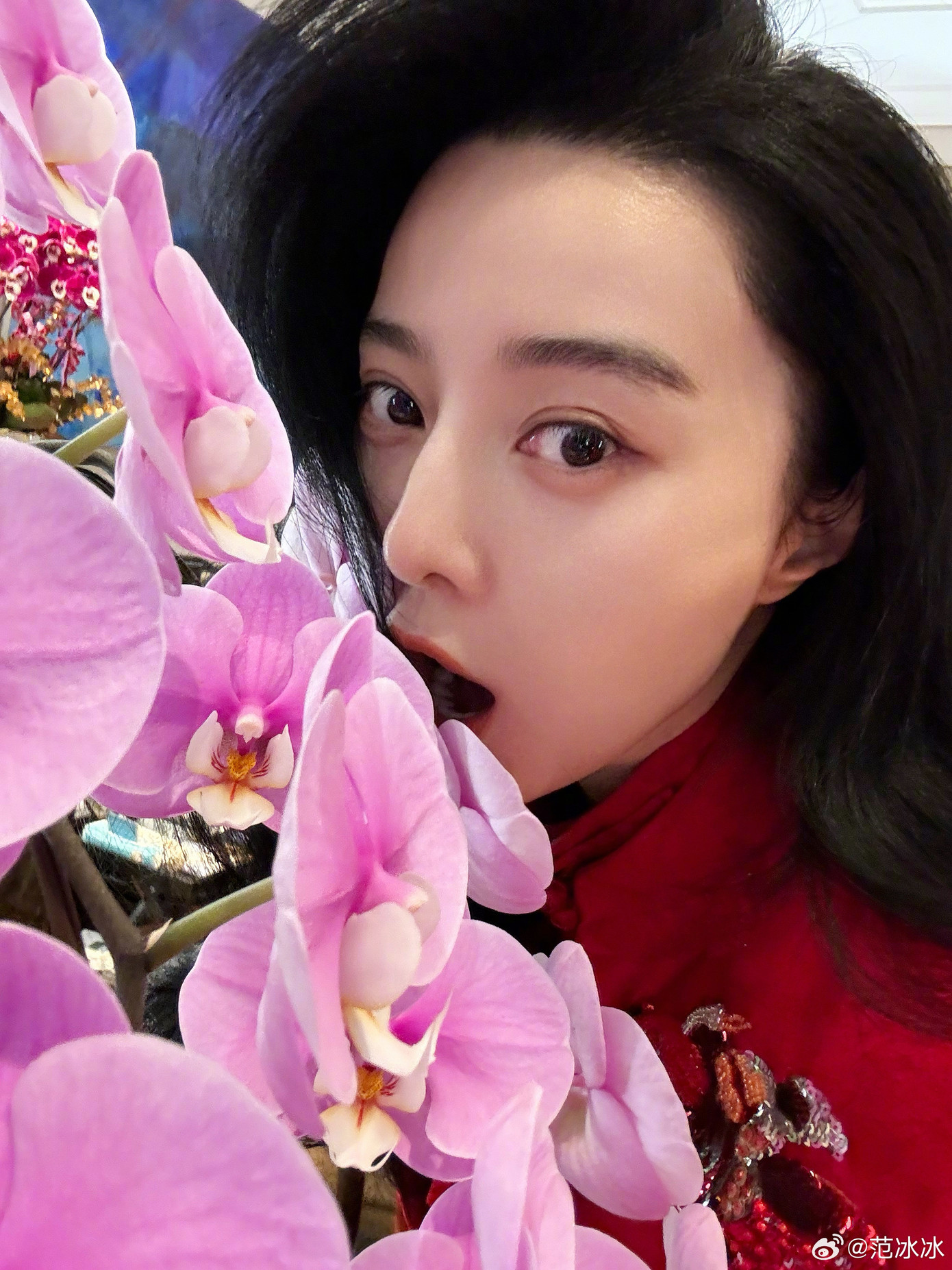 Phạm Băng Băng than thở chỉ được ăn rau ngày Tết khiến một số cư dân mạng nghi ngờ cô mang thai. Ảnh: IG. Phạm Băng Băng than thở chỉ được ăn rau ngày Tết khiến một số cư dân mạng nghi ngờ cô mang thai. Ảnh: IG.