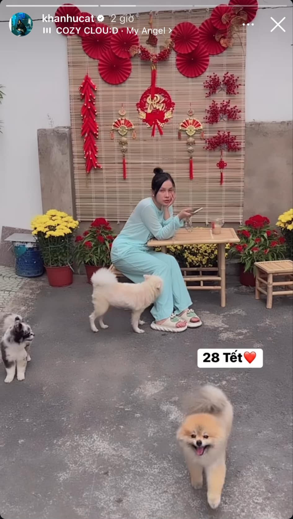 Diễn viên hài Khả Như trải qua ngày 28 Tết với bầy thú cưng.