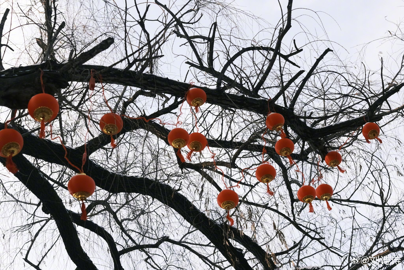 Ngoài ảnh chân dung, nữ diễn viên chia sẻ thêm ba bức ảnh phong cảnh mùa đông với cây khô và tuyết phủ trắng. Người hâm mộ đoán mỹ nhân sinh năm 1987 đang ở tỉnh Hắc Long Giang. Trước Tết Nguyên đán, cô phải đến vùng đất lạnh giá này để quay phim, không rõ cô có được nghỉ lễ hay phải làm việc xuyên Tết.