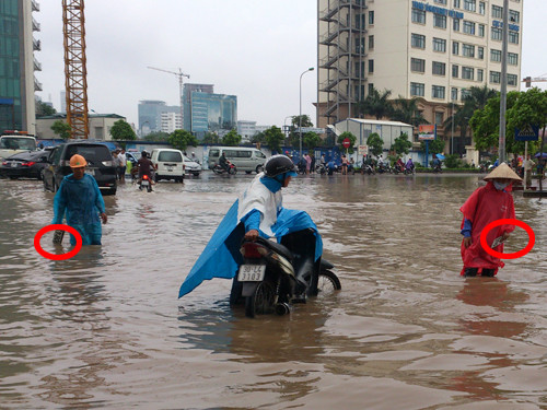 Nhiều người lội nước nhặt được cả biển số xe ô tô
