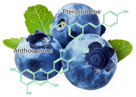 Anthocyanin, Pterostilbene... (trong OTIV) giúp chống gốc tự do, ngăn ngừa và hạn chế rối loạn tiền đình, cải thiện tình trạng thiếu máu não và giảm nguy cơ đột quỵ