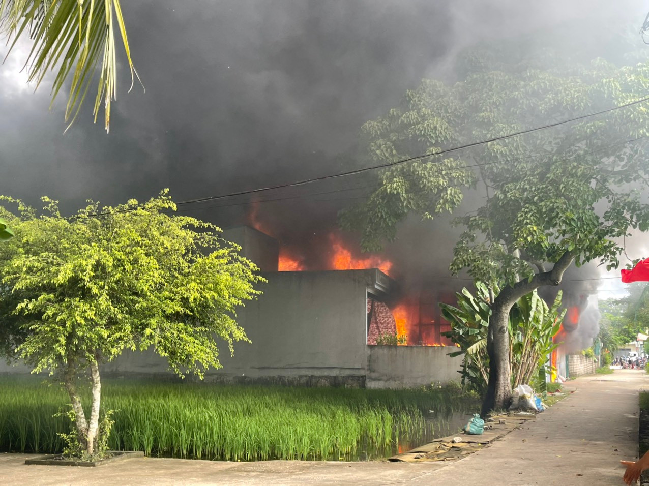 Thời tiết có gió lớn làm ngọn lửa bùng phát nhanh Thời tiết có gió lớn làm ngọn lửa bùng phát nhanh