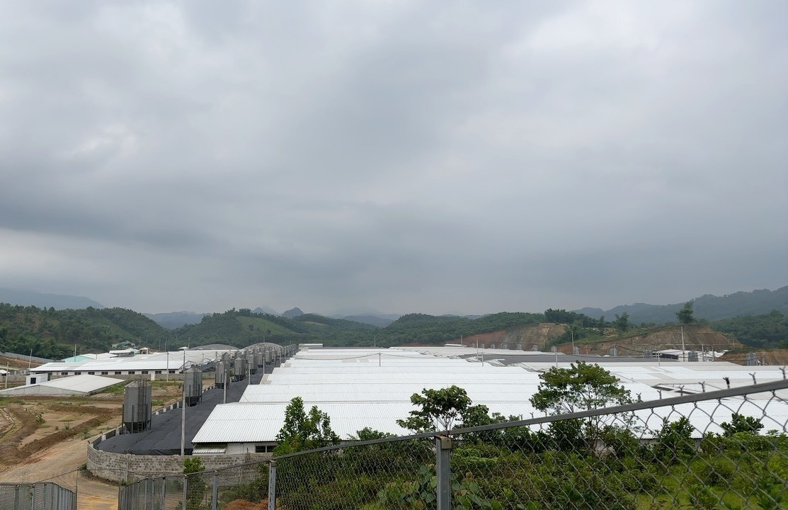 Trang trại nuôi lợn công nghệ cao tại xã Tân Phúc, huyện Lang Chánh (Thanh Hoá)