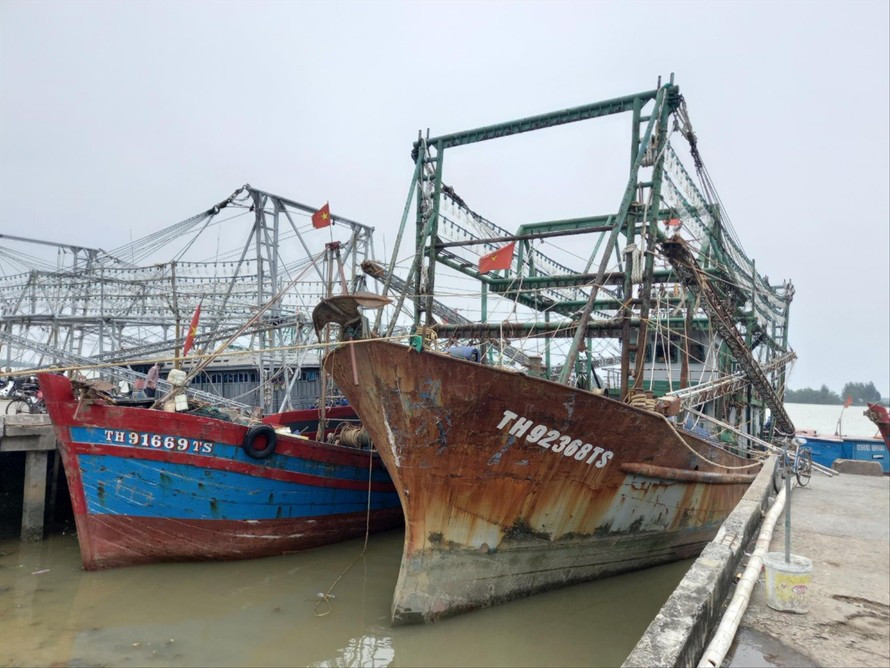 Cảng cá Lạch Hới Cảng cá Lạch Hới