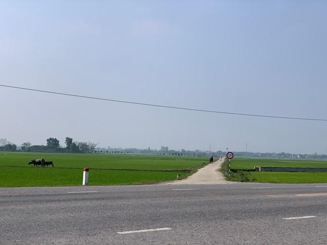 Cách nhau con đường nội đồng, hai khu quy hoạch đất ở tại thôn Hoà Bình, xã Lâm Trung Thuỷ được đưa ra đấu giá nhưng chưa làm hạ tầng.