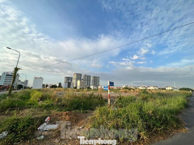 Thường trực thành ủy, UBND TPHCM chỉ đạo thu hồi giấy phép đầu tư, thu hồi dự án, thu hồi 2,9 ha đất công đã cấp cho Công ty Đặng Trần để Nhà nước quản lý, giao đơn vị có năng lực đầu tư.