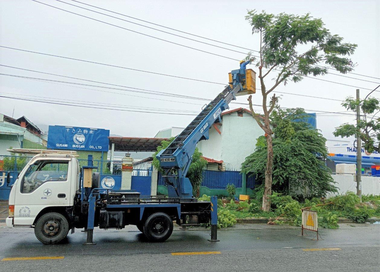 Công nhân Điện lực Sơn Trà, PC Đà Nẵng phát quang hành lang tuyến trước khi bão đổ bộ