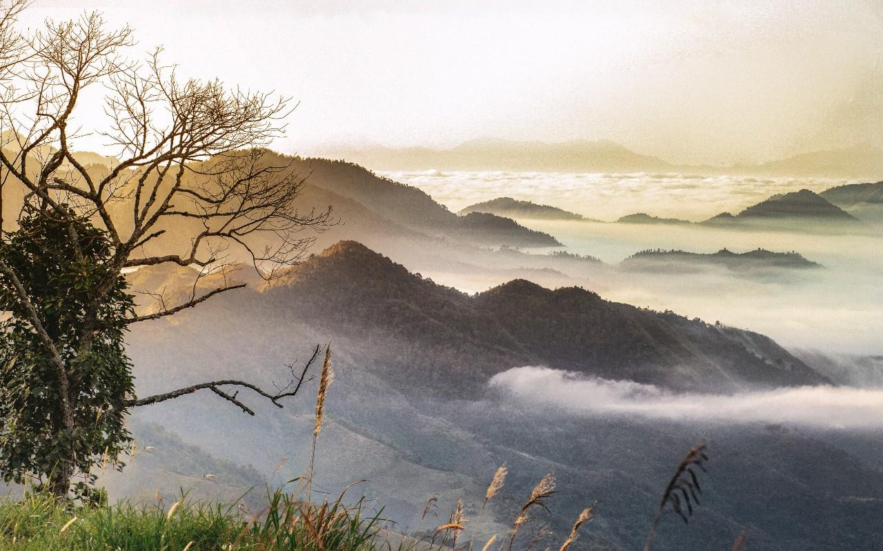 Mường Lống - nơi Tập đoàn TH trồng dược liệu để sản xuất TH true HERBAL