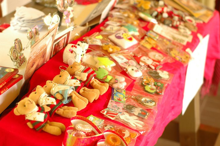 VNJUMP2011-Singapore-gian hàng của VNJUMP tại NUS gây quỹ cho chương trình