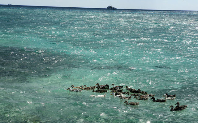 Biển của ta là ao của nhà ta