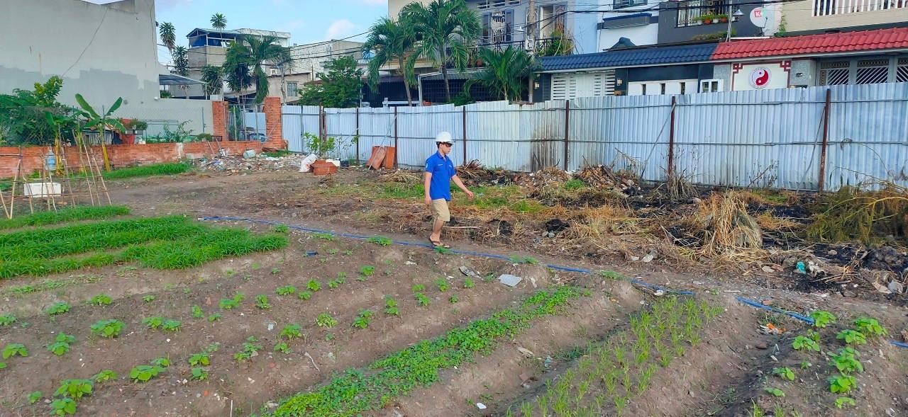 Mỗi ngày, các bạn đều dành thời gian làm vườn, chăm rau. Mỗi ngày, các bạn đều dành thời gian làm vườn, chăm rau.