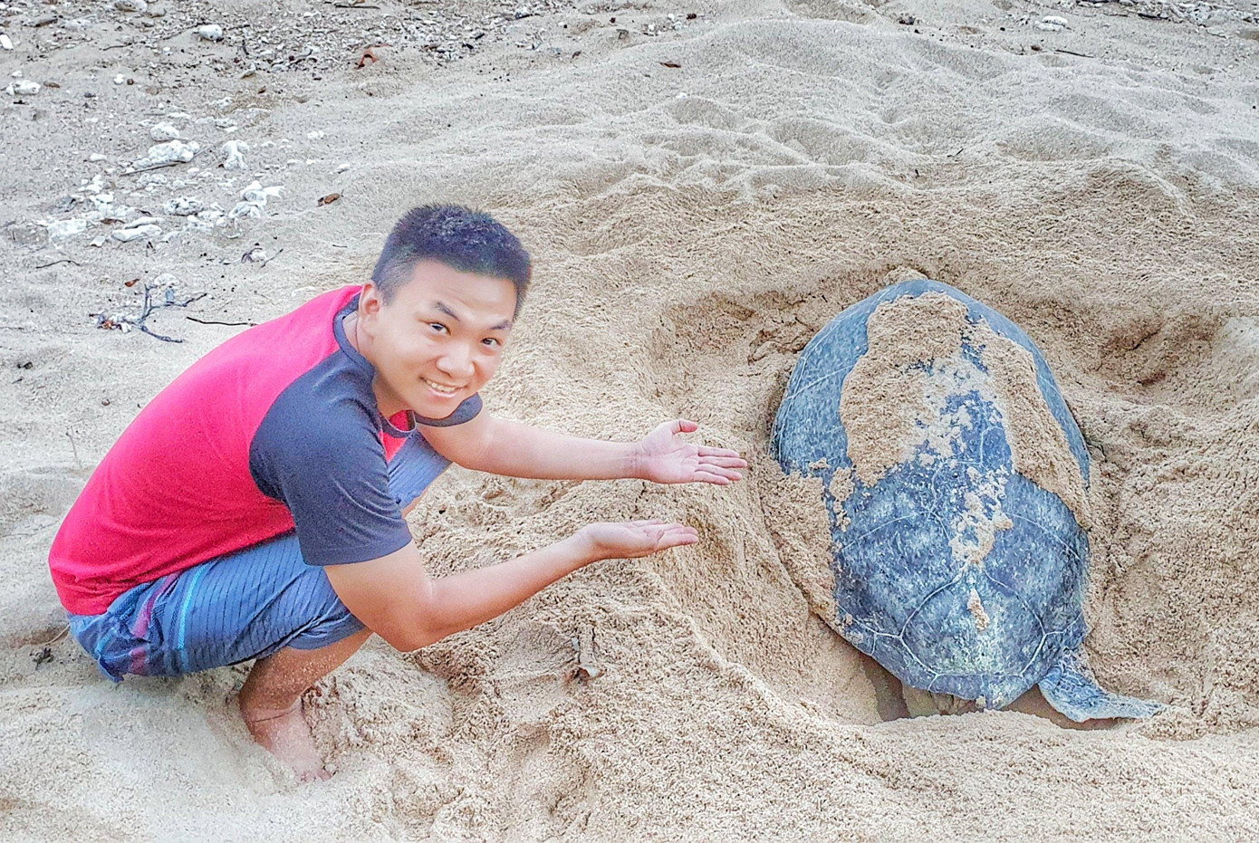 Công việc "đỡ đẻ" cho rùa biển cho Khang nhiều trải nghiệm thú vị.