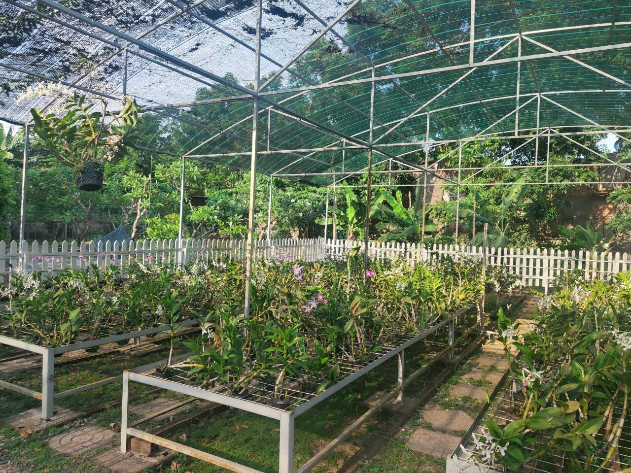 Vườn lan thơ mộng là chỗ cho nhiều bạn sinh viên tìm đến thăm quan, chụp hình.