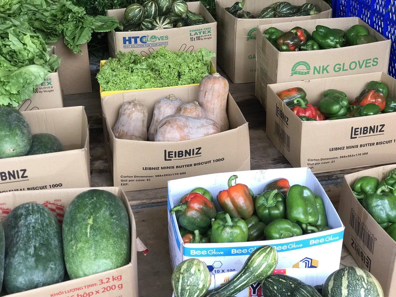 Rau xanh, củ, quả được bổ sung mỗi ngày đảm bảo cung cấp đủ cho các bạn sinh viên.