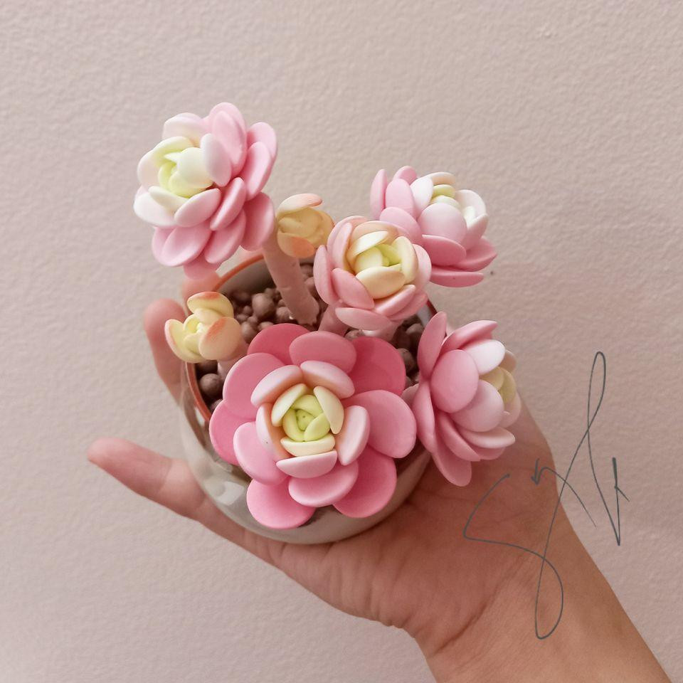 Dung đang cho ra nhiều mẫu sản phẩm hơn để đáp ứng nhu cầu đa dạng của thị trường.