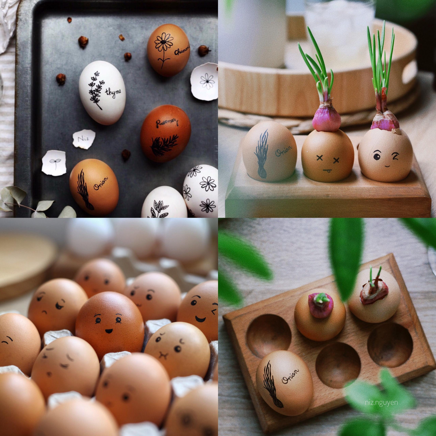 "Lũ đầu trọc đáng yêu" của Nguyễn Ngọc Tiểu Ni.