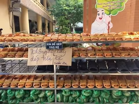Khóa tu mùa hè rèn luyện cho các bạn trẻ trưởng thành lên rất nhiều.