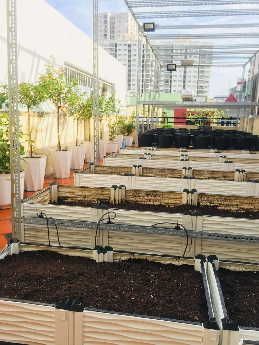 Toàn cảnh khu vườn lúc ban đầu khi vừa được bố trí, sắp xếp.