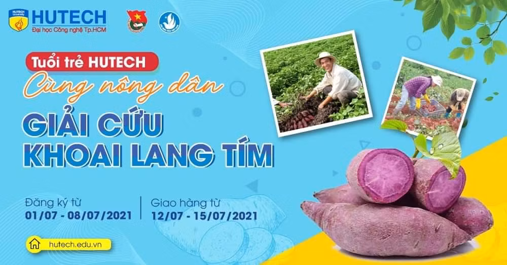 Hoạt động hỗ trợ nông dân Vĩnh Long tiêu thụ khoai lang tím của Hội Sinh viên trường ĐH Công nghệ TP. HCM.