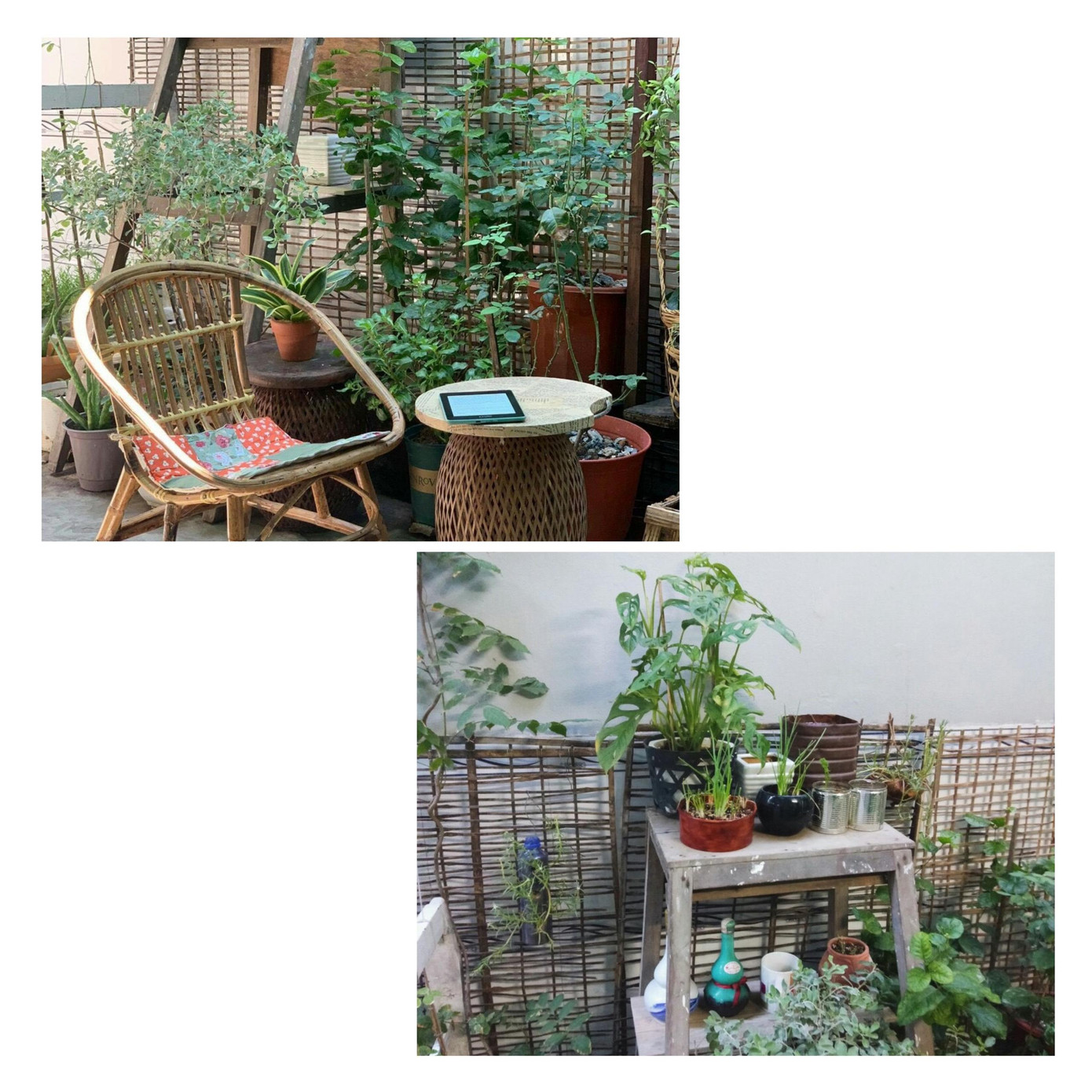 Không gian xanh trong tiệm may của Hiền. (Ảnh: NVCC)