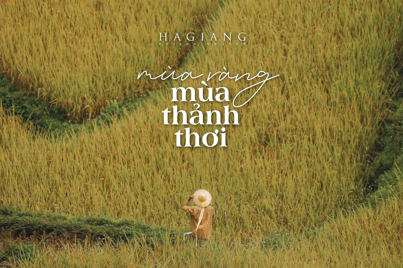 Một bức ảnh trong bộ ảnh “Mùa vàng - Mùa thảnh thơi”. (Ảnh: NVCC)