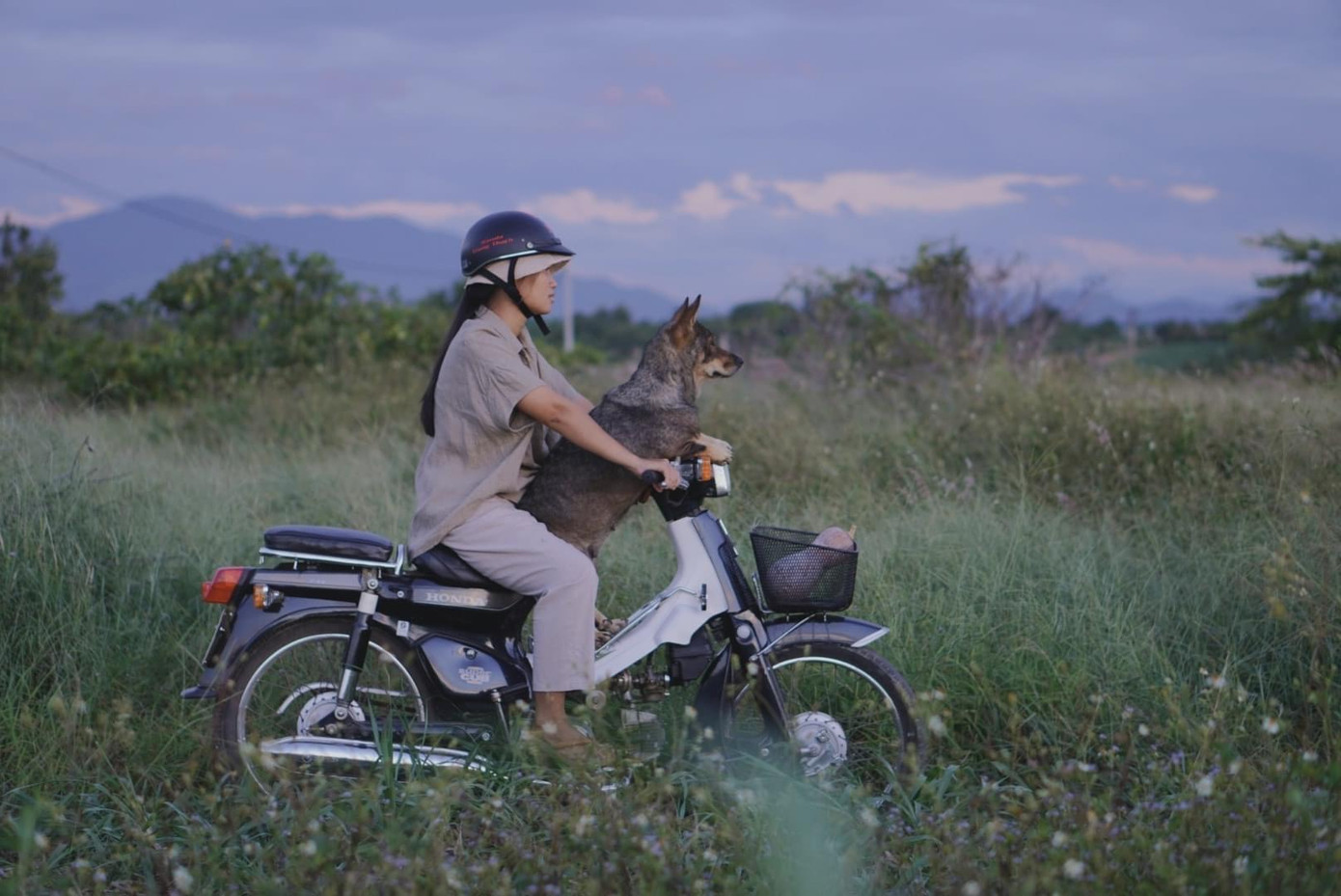 Khung cảnh làng quê thơ mộng trong những video của An. Khung cảnh làng quê thơ mộng trong những video của An.