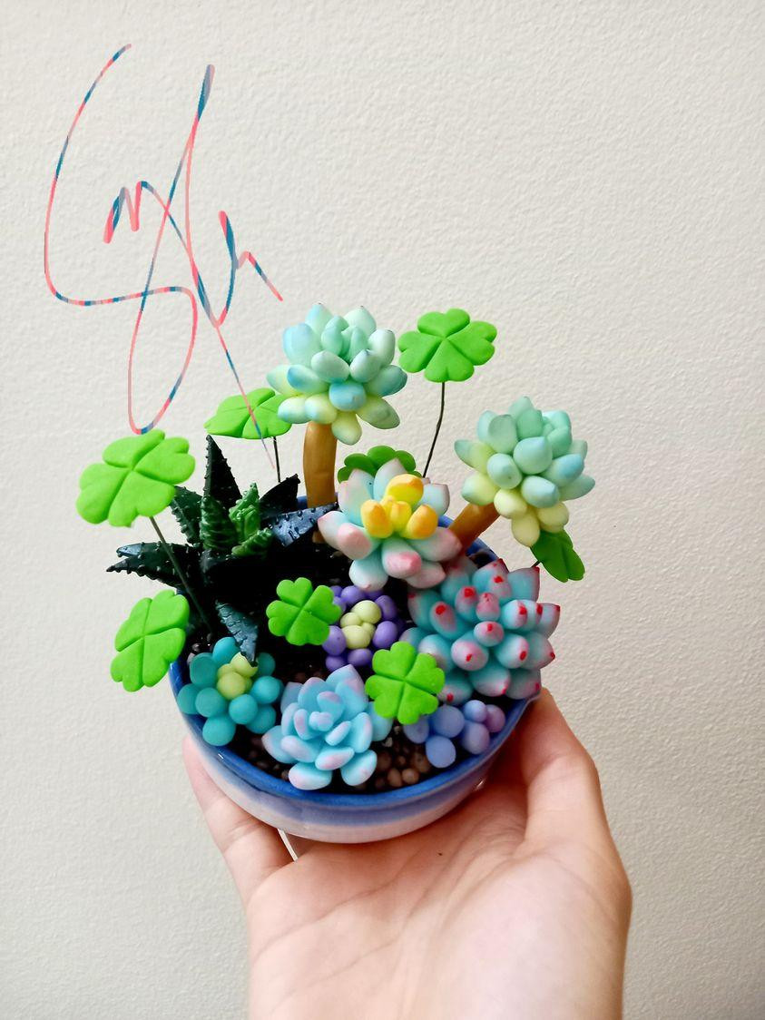 Những chậu sen đá bằng đất sét nhỏ xinh của Dung khiến nhiều người thích thú.