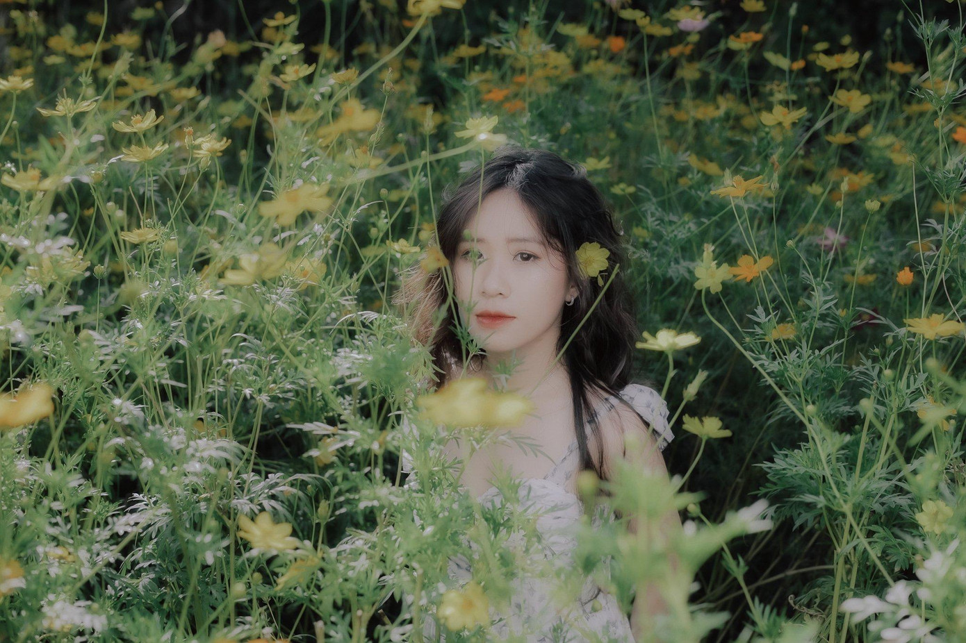 Minh An có bảng thành tích đáng nể khi cô tham gia hùng biện tại nhiều cuộc thi tiếng Anh. Minh An có bảng thành tích đáng nể khi cô tham gia hùng biện tại nhiều cuộc thi tiếng Anh.