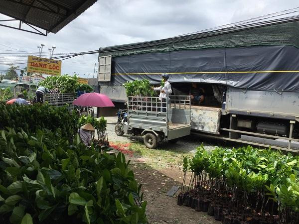 Lộc vẫn cố gắng trong cả công việc kinh doanh và công việc học tập.