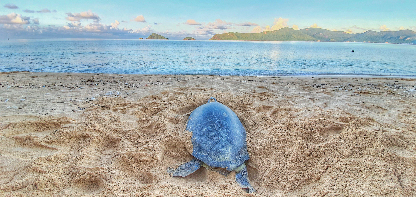 Khang mong rằng các bạn trẻ ngày càng hiểu đúng về tầm quan trọng của việc bảo tồn đa dạng sinh học.