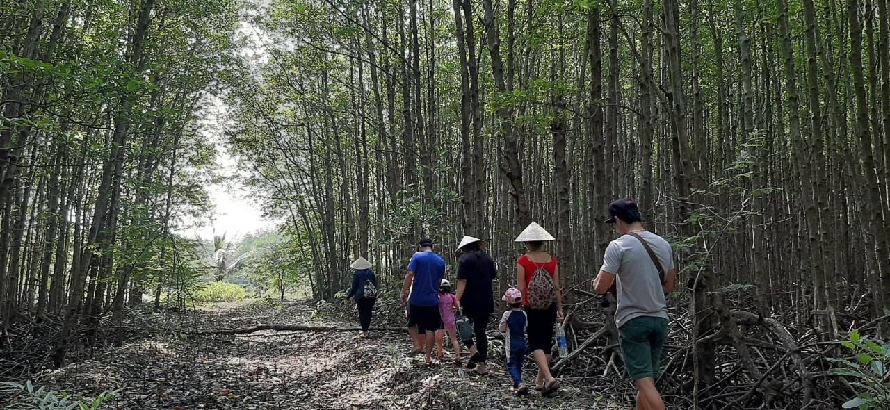 Những tán rừng ngập mặn Cần Giờ thu hút các bạn trẻ lên đường khám phá dịp lễ này.