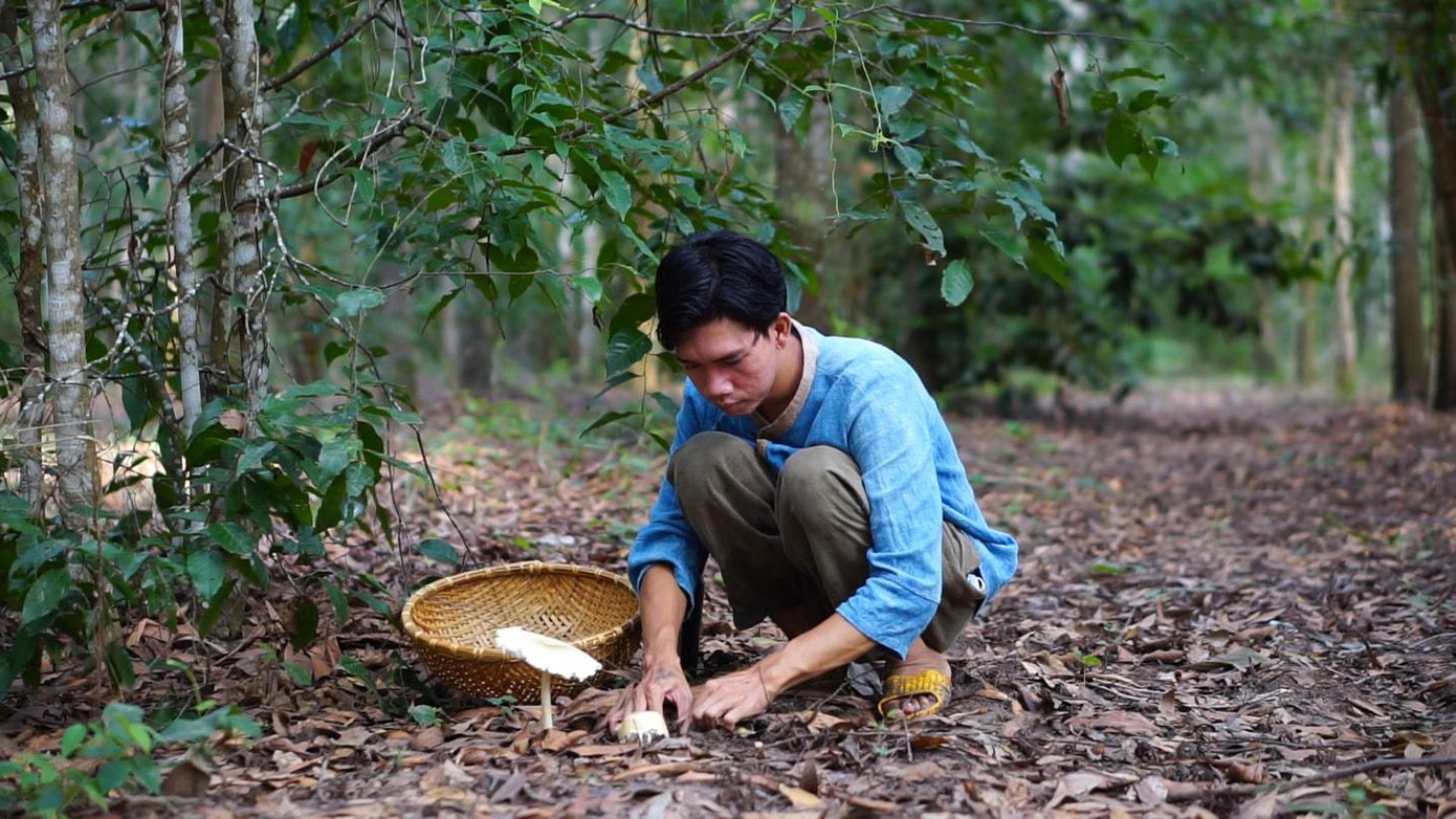 Đồng Hao trong một lần đi hái nấm trứng gà tại quê hương của mình.