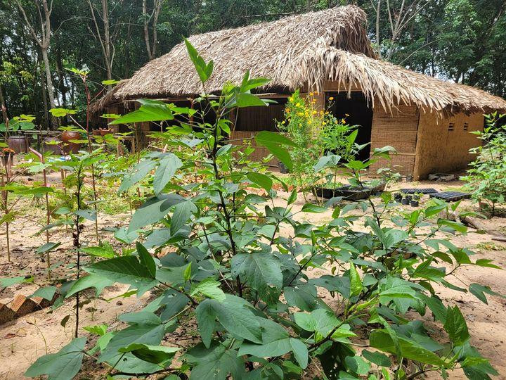 Căn nhà đơn sơ mang đậm nét quê hương là nơi thường xuất hiện trên những video của Đồng Hao.