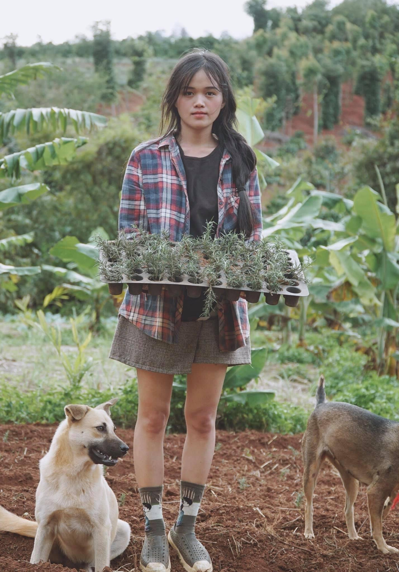 Thời gian dịch bệnh kéo dài càng khiến Thuận thêm trân quý cuộc sống tự cung, tự cấp. Thời gian dịch bệnh kéo dài càng khiến Thuận thêm trân quý cuộc sống tự cung, tự cấp.