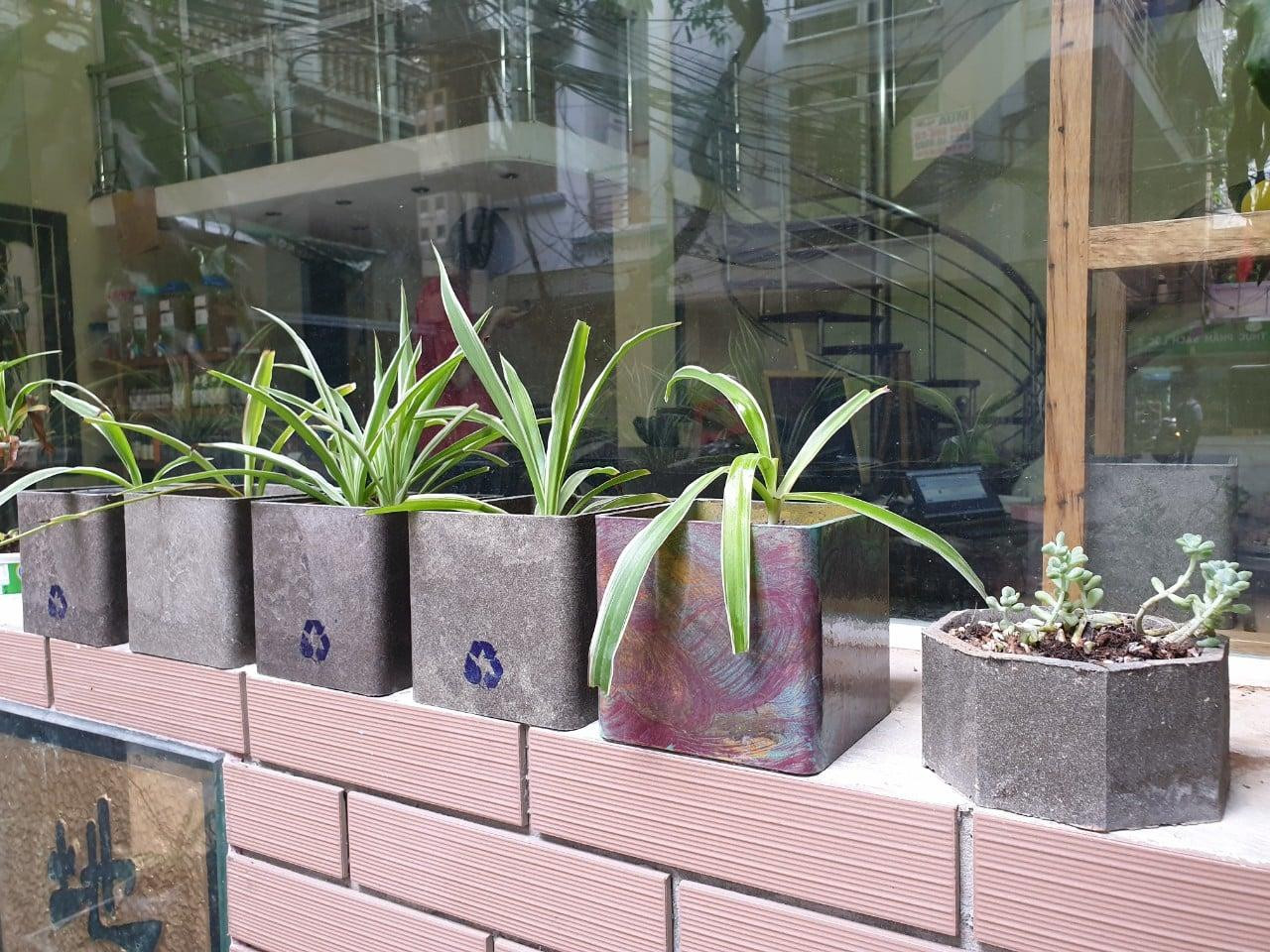 Những chậu cây xinh xắn được tái chế từ vỏ hộp sữa. Những chậu cây xinh xắn được tái chế từ vỏ hộp sữa.