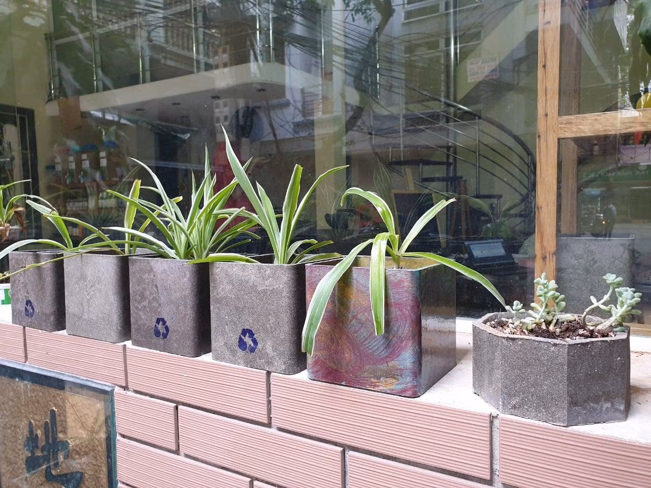 Những chậu cây xinh xắn được tái chế từ vỏ hộp sữa.