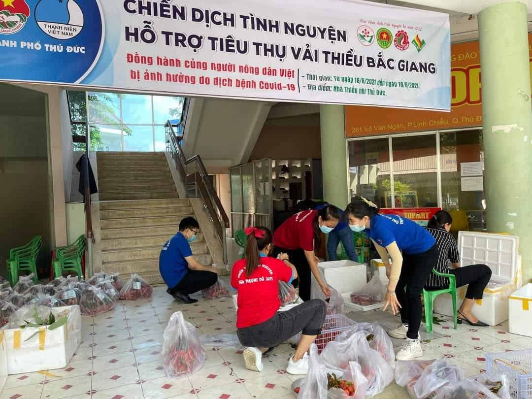 Các bạn sinh viên tại TP. Thủ Đức hỗ trợ tiêu thụ nông sản cho nông dân. Các bạn sinh viên tại TP. Thủ Đức hỗ trợ tiêu thụ nông sản cho nông dân.