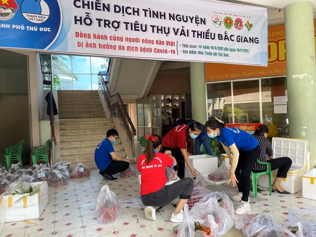 Các bạn sinh viên tại TP. Thủ Đức hỗ trợ tiêu thụ nông sản cho nông dân.
