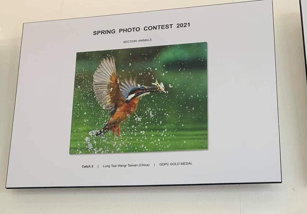 Một tác phẩm về chủ đề thú vật được trưng bày trong triển lãm. Một tác phẩm về chủ đề thú vật được trưng bày trong triển lãm.
