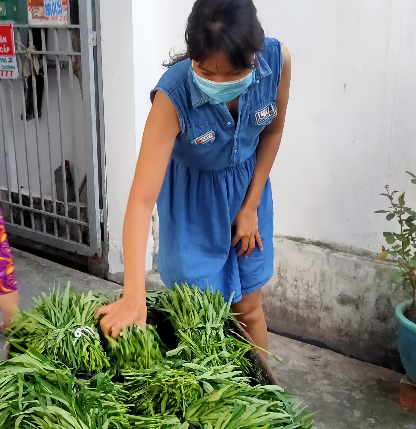 Nhóm bạn tặng rau cho những người dân xung quanh. Nhóm bạn tặng rau cho những người dân xung quanh.