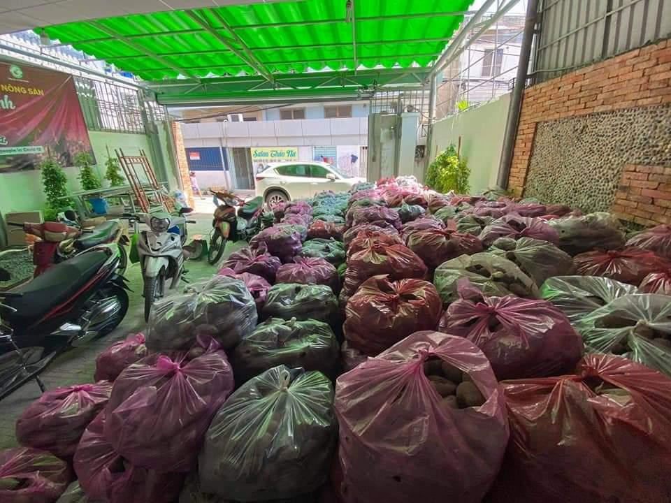 Khoai lang được tập kết về số 10B, đường số 2, phường Hiệp Bình Chánh, TP. Thủ Đức (TP. HCM) để tiêu thụ trên địa bàn TP. HCM.