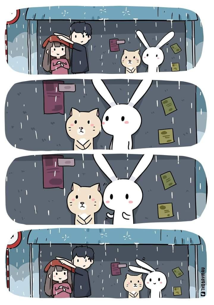 Huỳnh Thái Ngọc - “cha đẻ” của chuỗi sitcom hoạt hình hài hước Thỏ Bảy Bàu. Huỳnh Thái Ngọc - “cha đẻ” của chuỗi sitcom hoạt hình hài hước Thỏ Bảy Bàu.