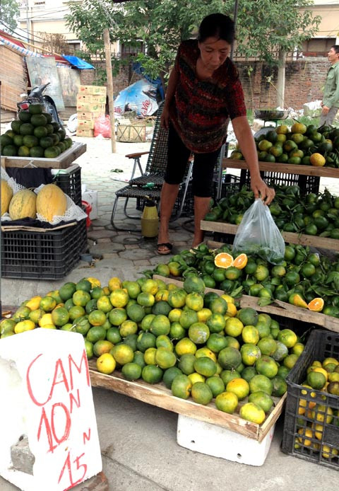Có nhiều loại cam, nhưng người bán chia ra cam vàng, cam xanh. Giá cam vàng, xanh quả nhỏ 10.000 đồng/kh, cam xanh loại to hơn 15.000 đồng/kg, và không chấp nhận mặc cả. Có nhiều loại cam, nhưng người bán chia ra cam vàng, cam xanh. Giá cam vàng, xanh quả nhỏ 10.000 đồng/kh, cam xanh loại to hơn 15.000 đồng/kg, và không chấp nhận mặc cả